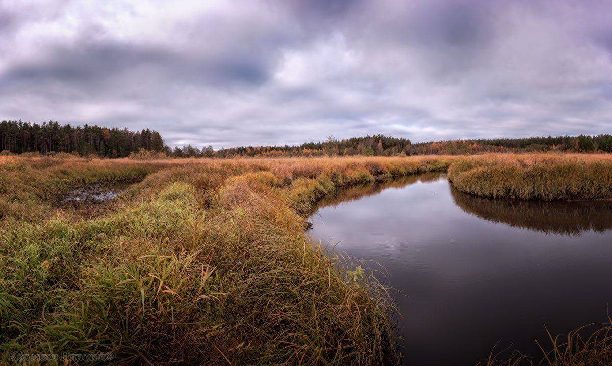 , Хохряков Николай