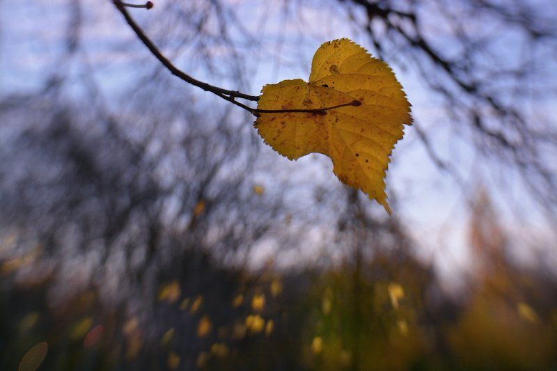 Акварели осени фото превью