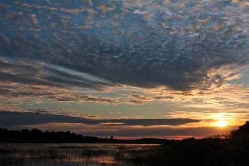 Волга, Тверская обл. Недалеко от Старицы.