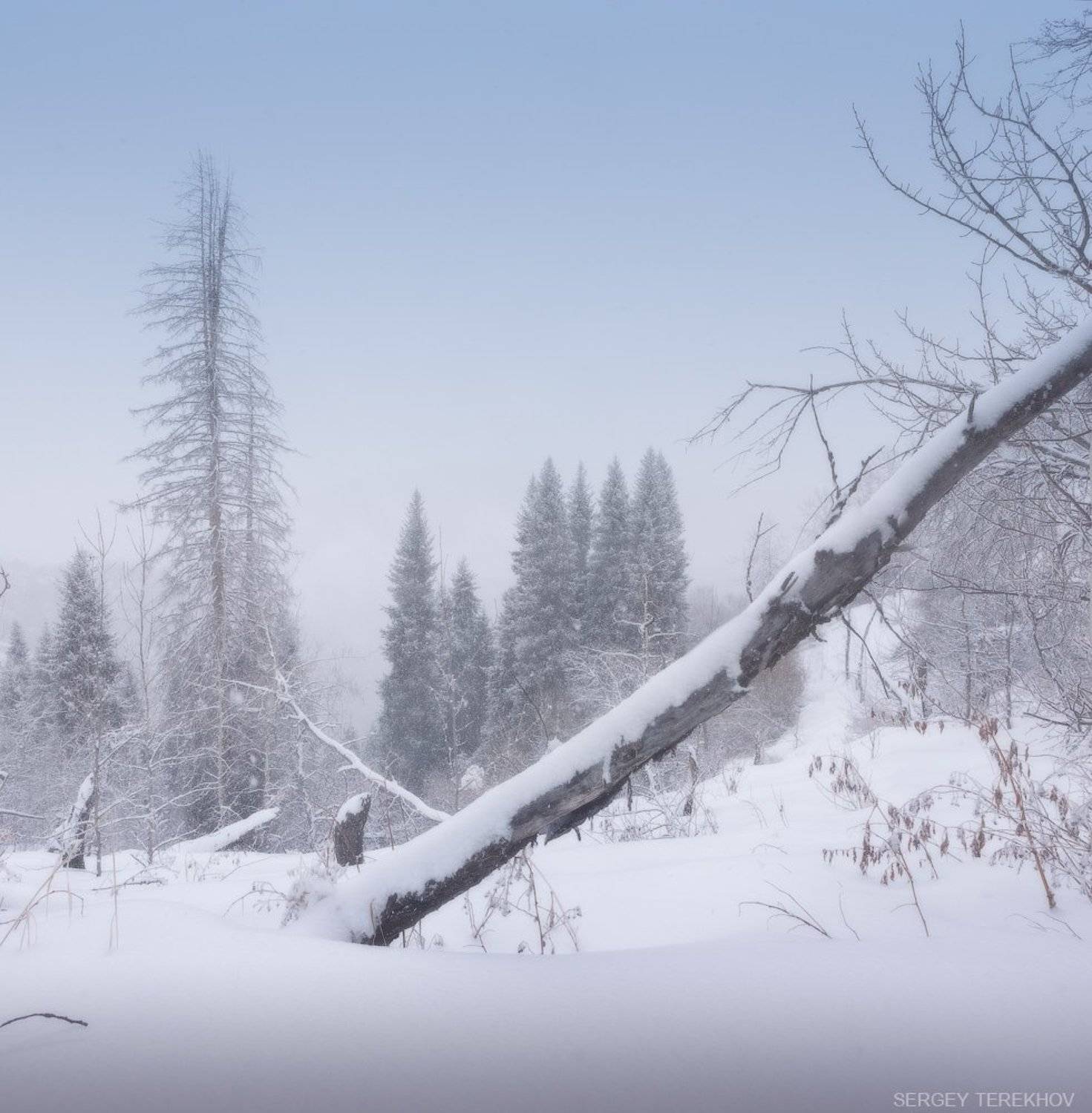 Заилийские Алатау, Казахстан, Тропа на Кок Жайляу, Тянь-шань, Фотографии Казахстана, Сергей Терехов