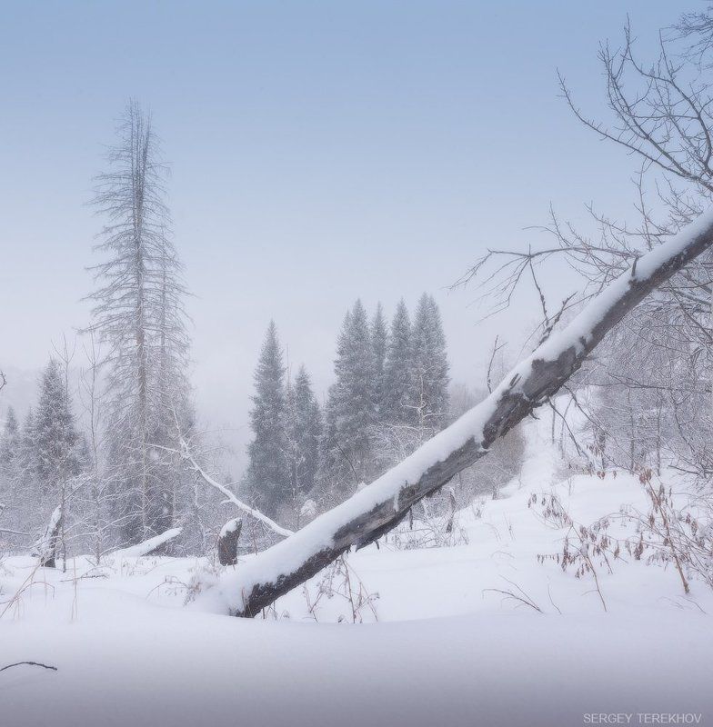 Заилийские Алатау, Казахстан, Тропа на Кок Жайляу, Тянь-шань, Фотографии Казахстана Зима еще не пришла фото превью