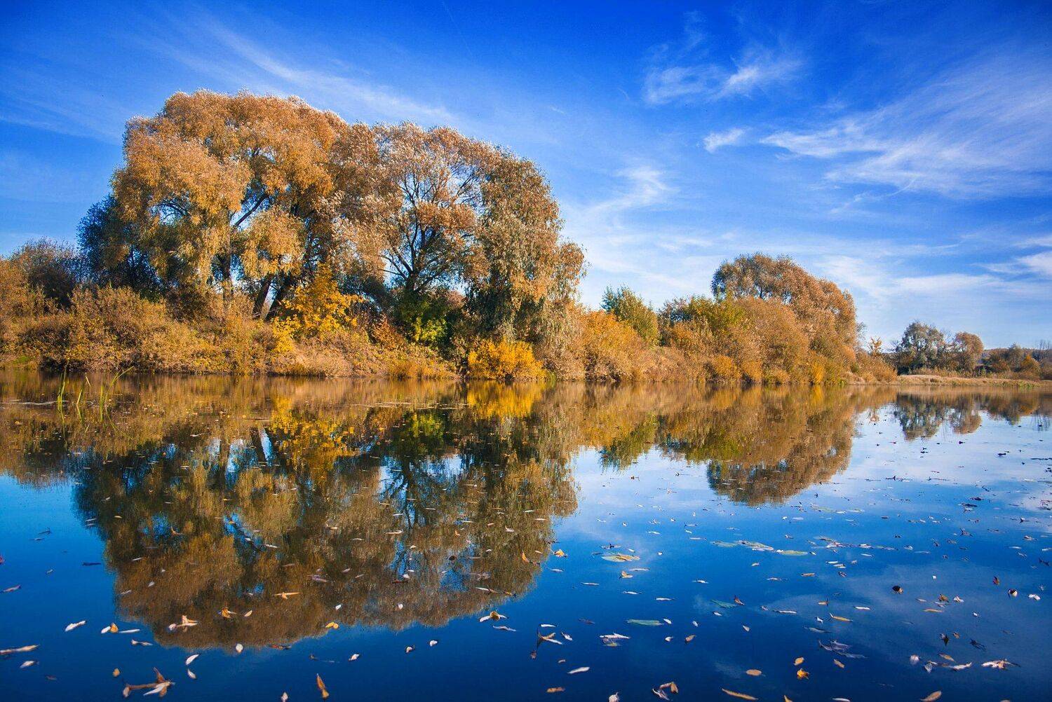 природа, осень, пейзаж, лес, река, Екатерина