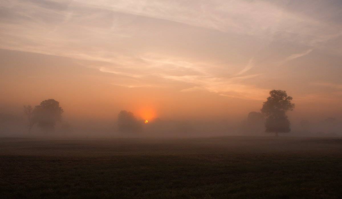 , Pawel Plucinski