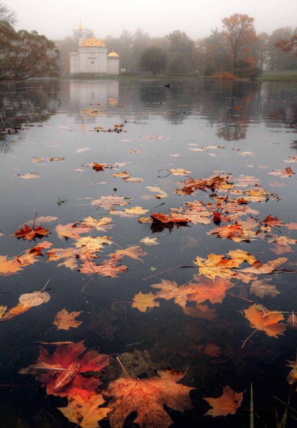 , Александр Атоян