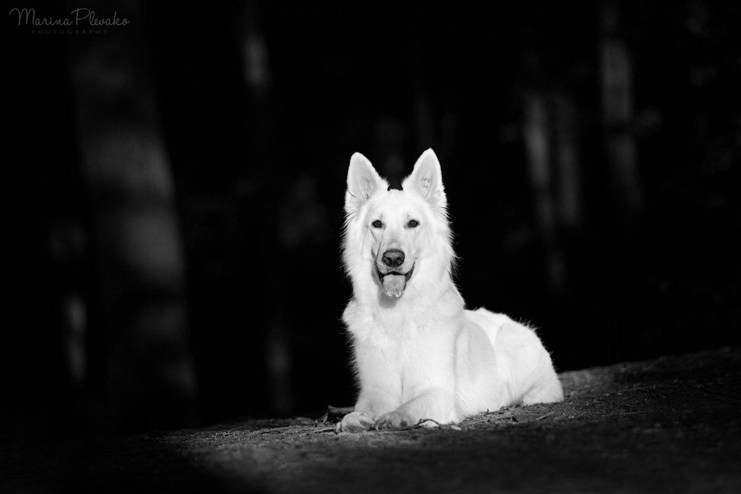 , Марина Плевако