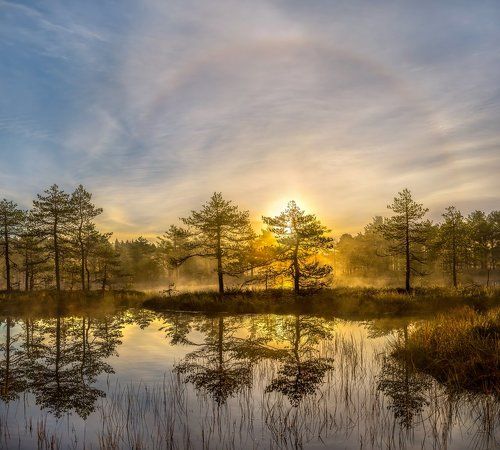 Солнечное гало на рассвете