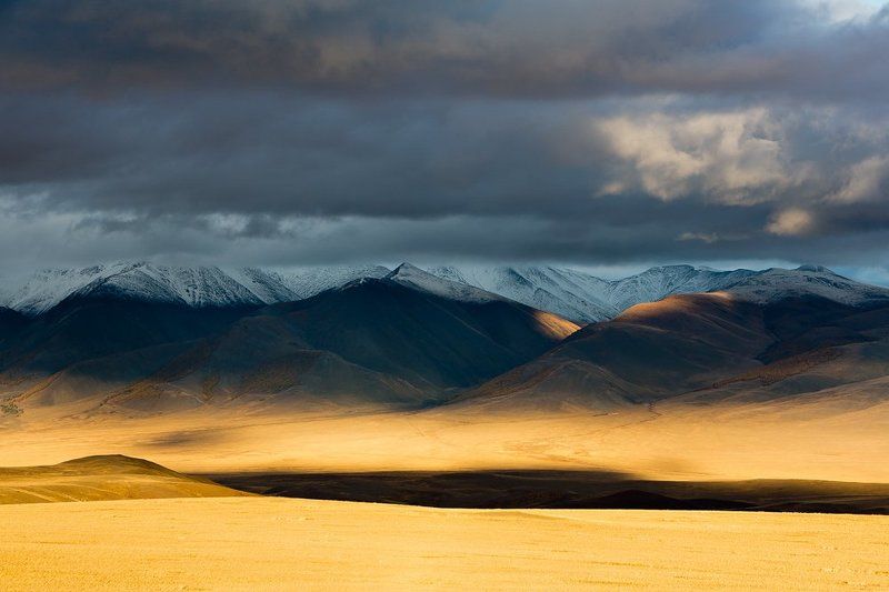 Закатное золото Алтая. фото превью