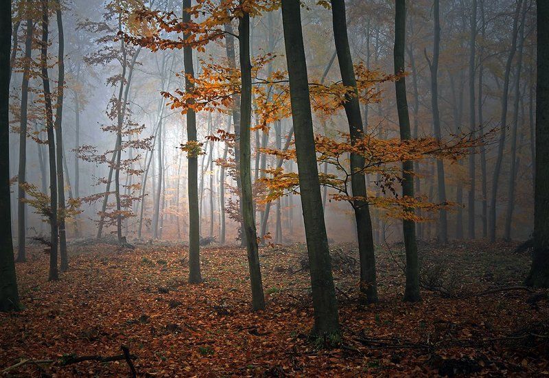 ... фото превью