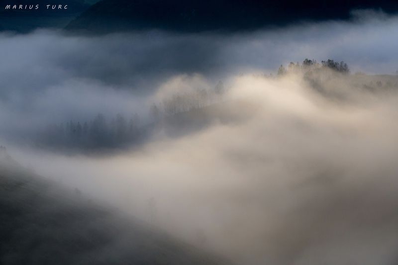mist,fog,trees,nature,sunset,morning,colors I find a way to enter in heaven фото превью