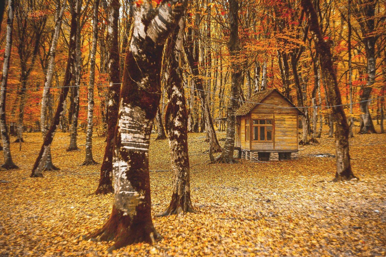 , Faik Nagiyev