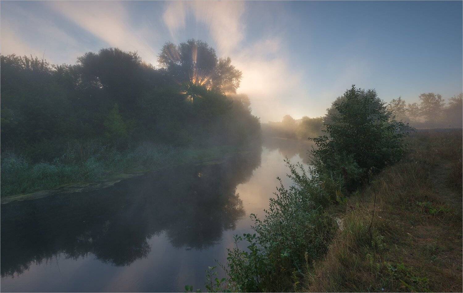 , Николай Шахманцир