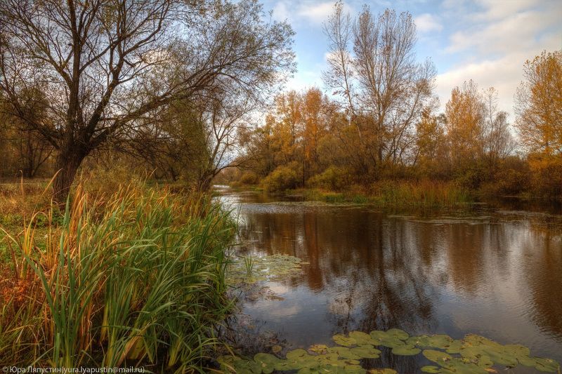 *** фото превью