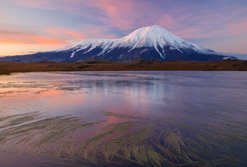 Толбачик на рассвете