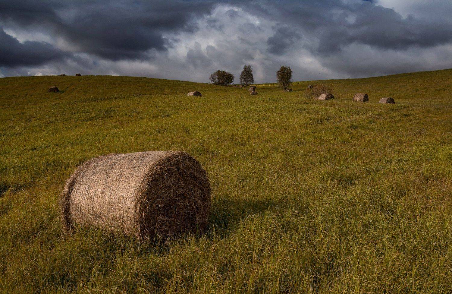 , Аркадий Белов