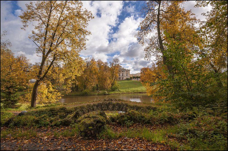 Павловск парк осень октябрь  фото превью