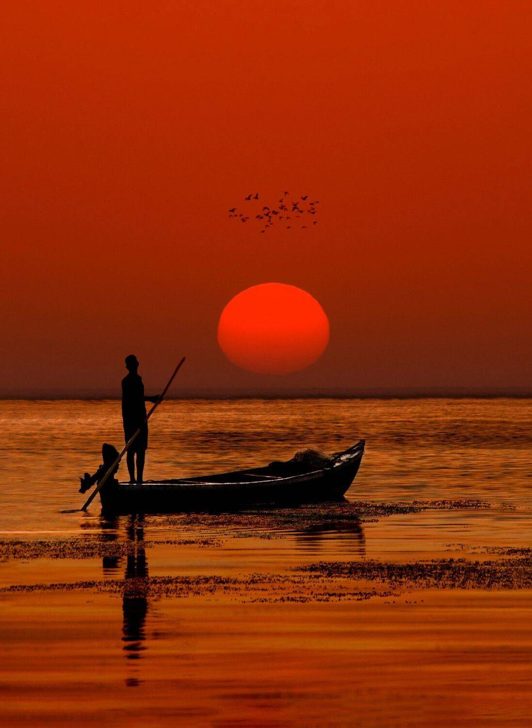 #nikon, Ali Ali Sabih Kadhim