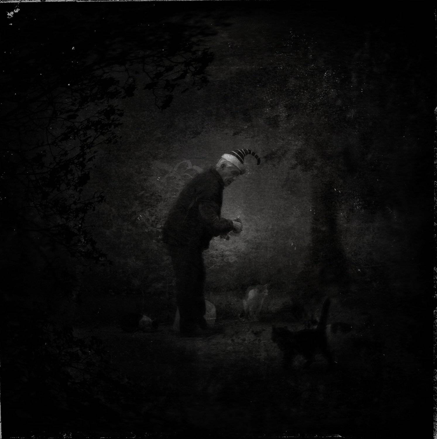 , Владислав Холодков