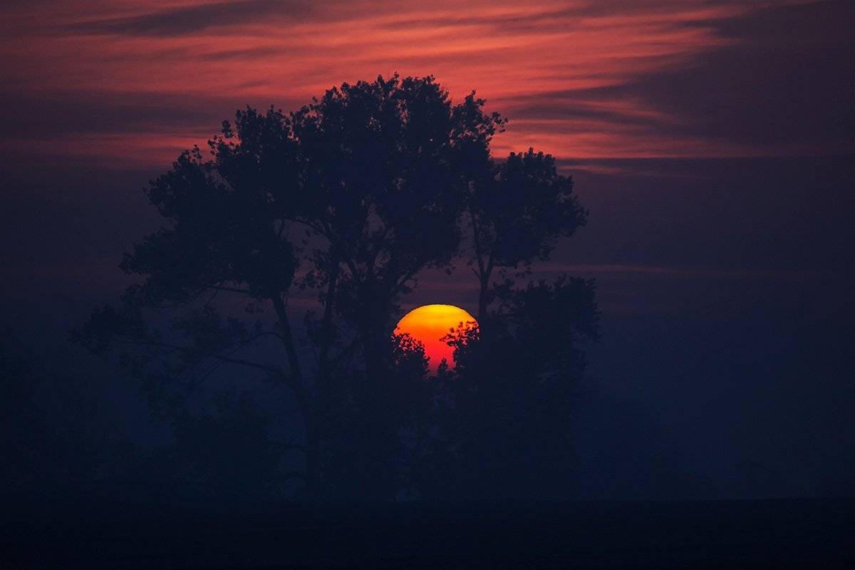 , Pawel Plucinski