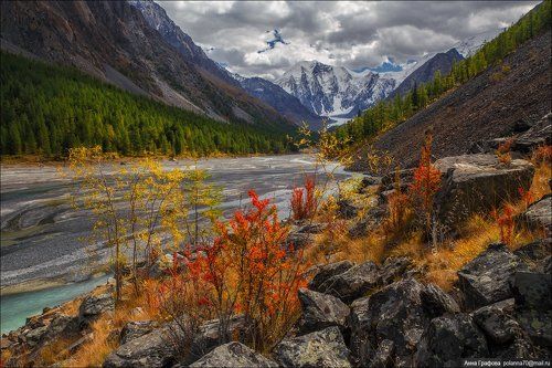 Маашейский калейдоскоп