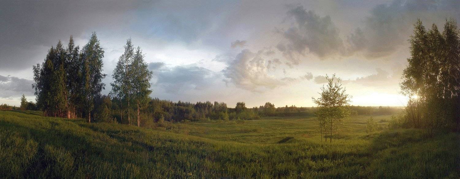 закат, лес , поле , тучи , Свистков Александр
