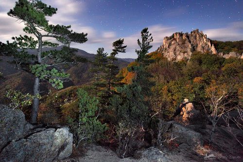 Крадущийся тигр, затаившийся дракон