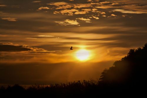 Рассветная..