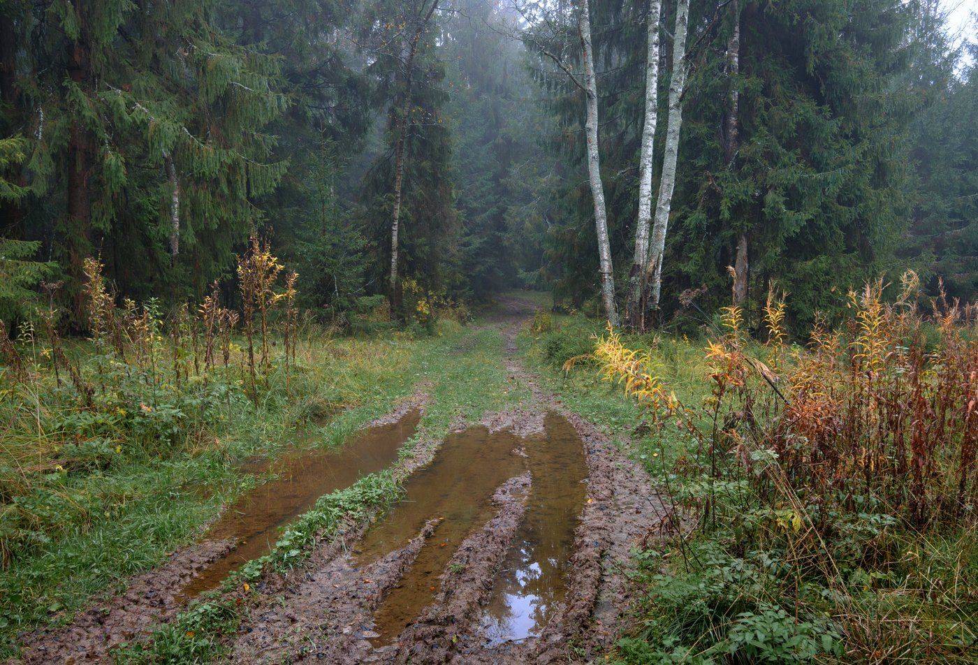 , Дмитрий Асеев