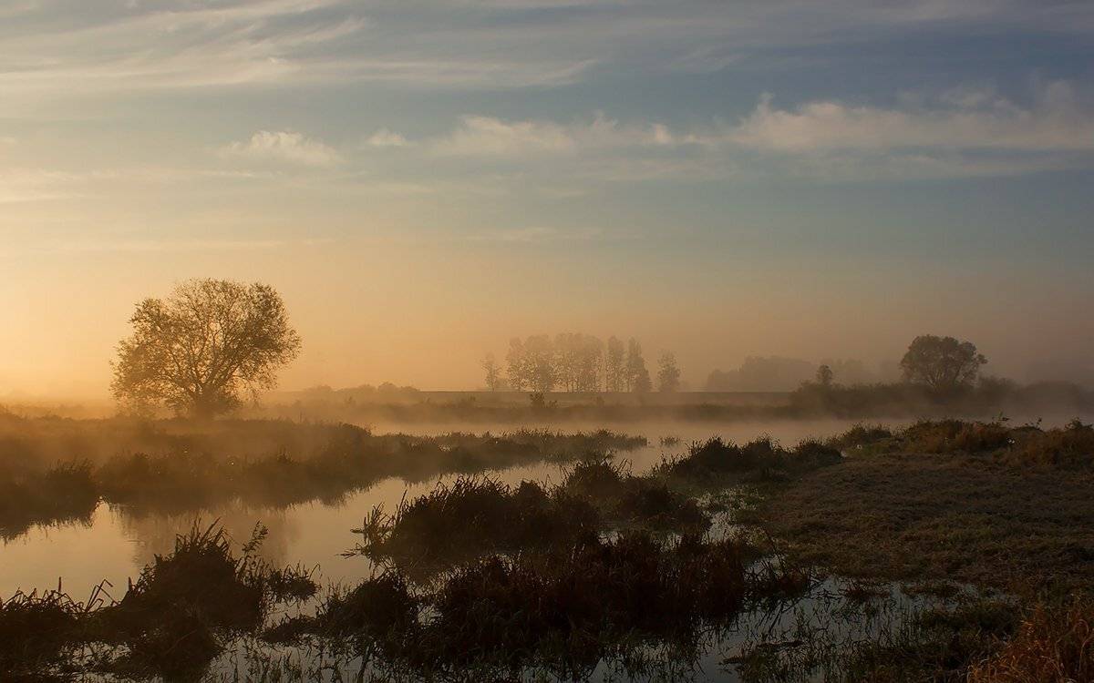 , Pawel Plucinski