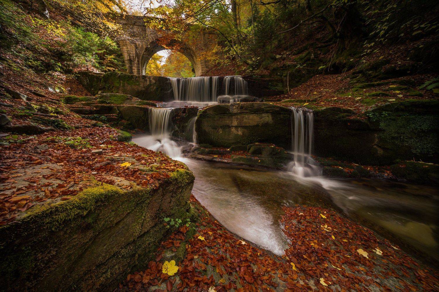 , Илияна Шишкова