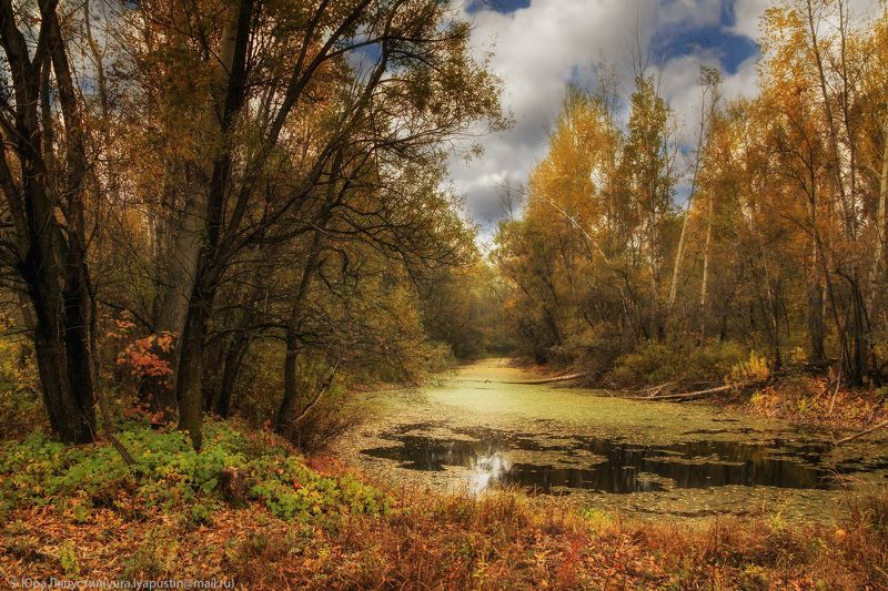 Осень, Природа *** фото превью