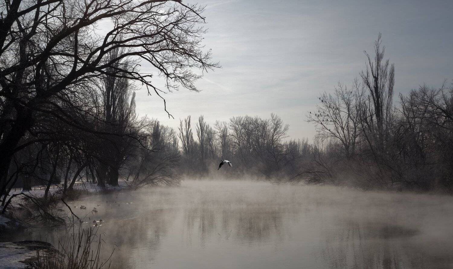 , Алексей Рыльский