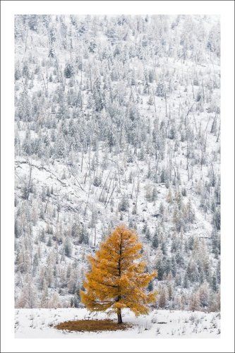 Одиночество осень ..