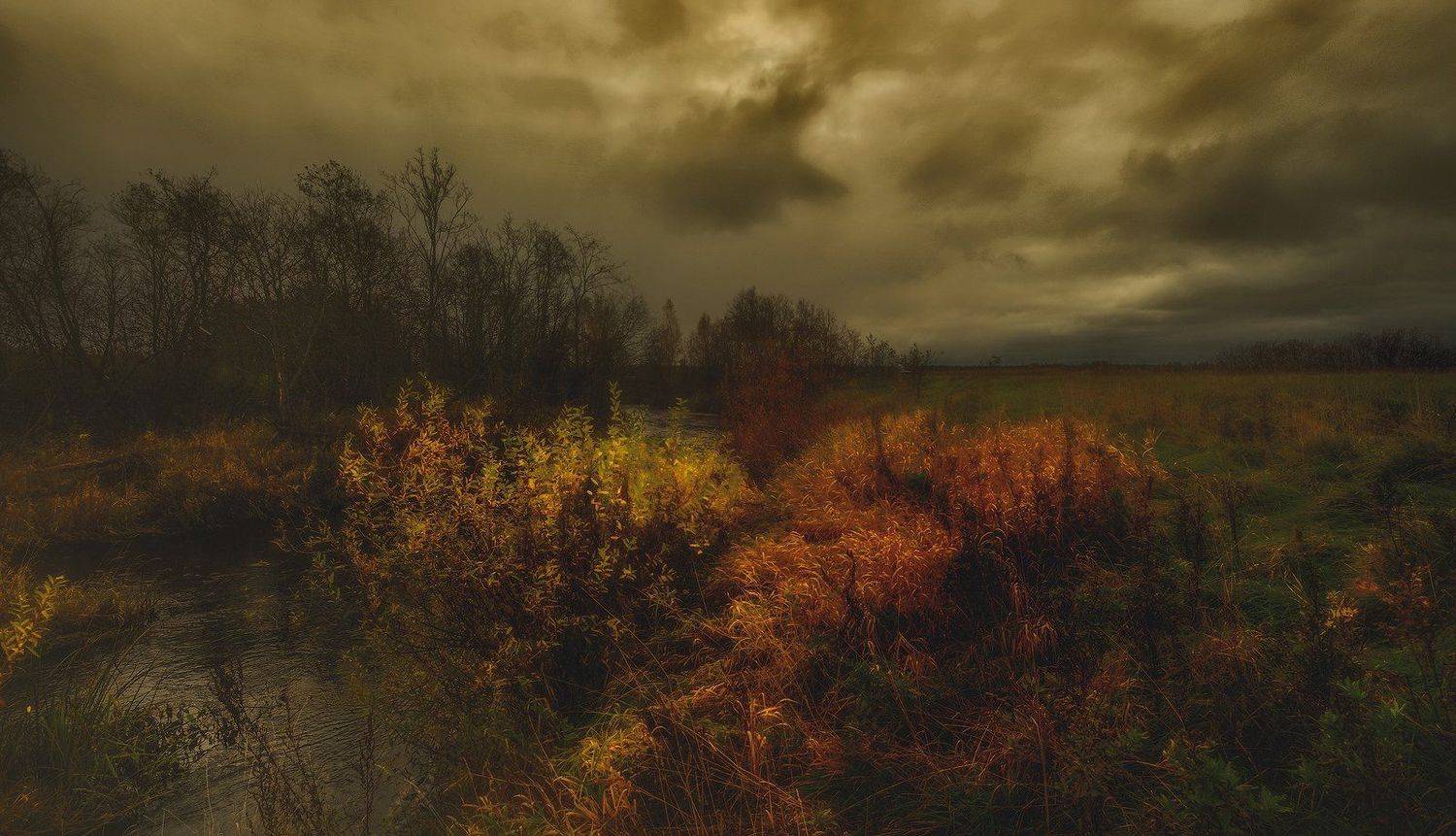 , Сергей (Bekr)