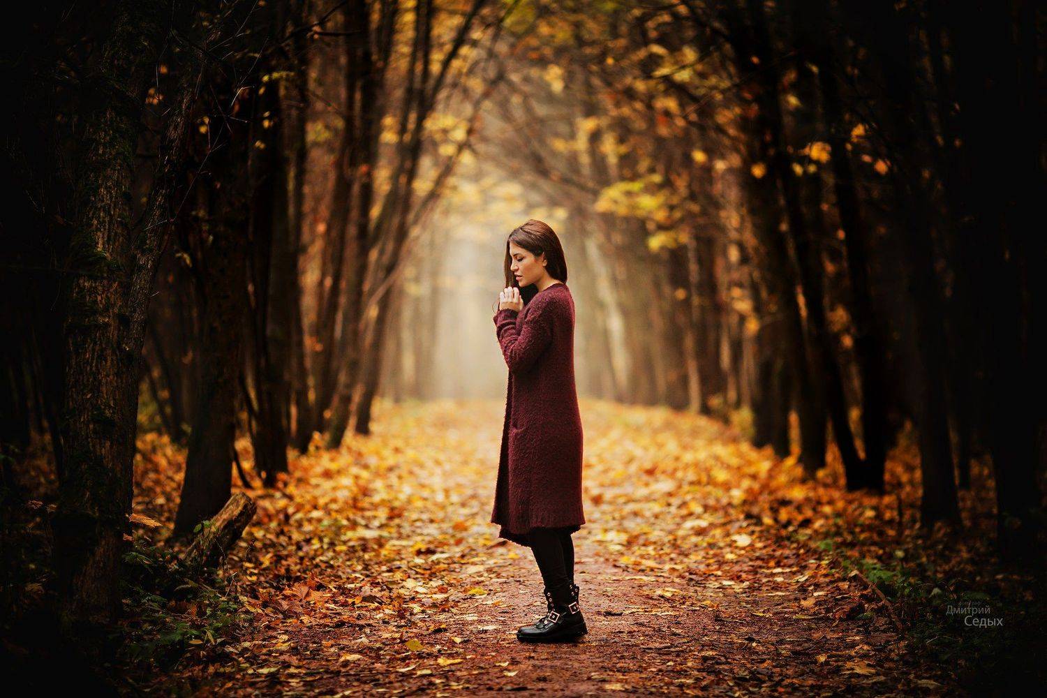 Осень, Седых Дмитрий