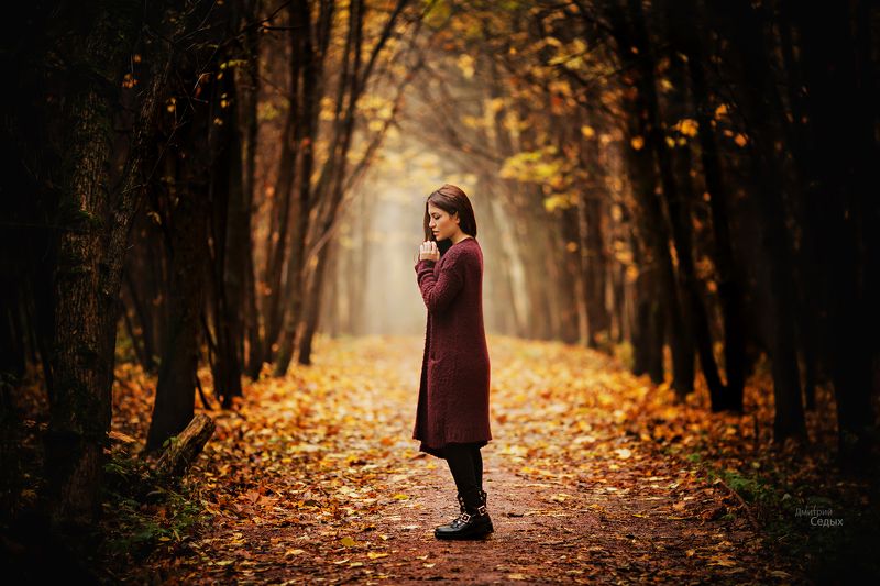 Осень Осень фото превью