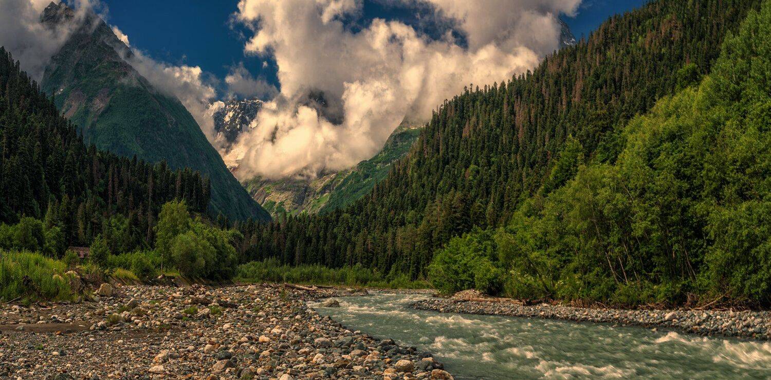 , Игорь Мелекесцев