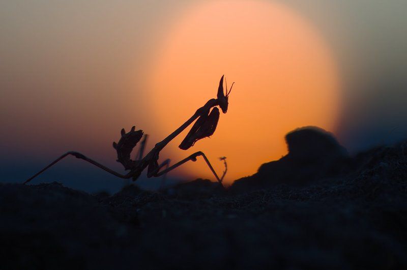 и будет вечером... фото превью