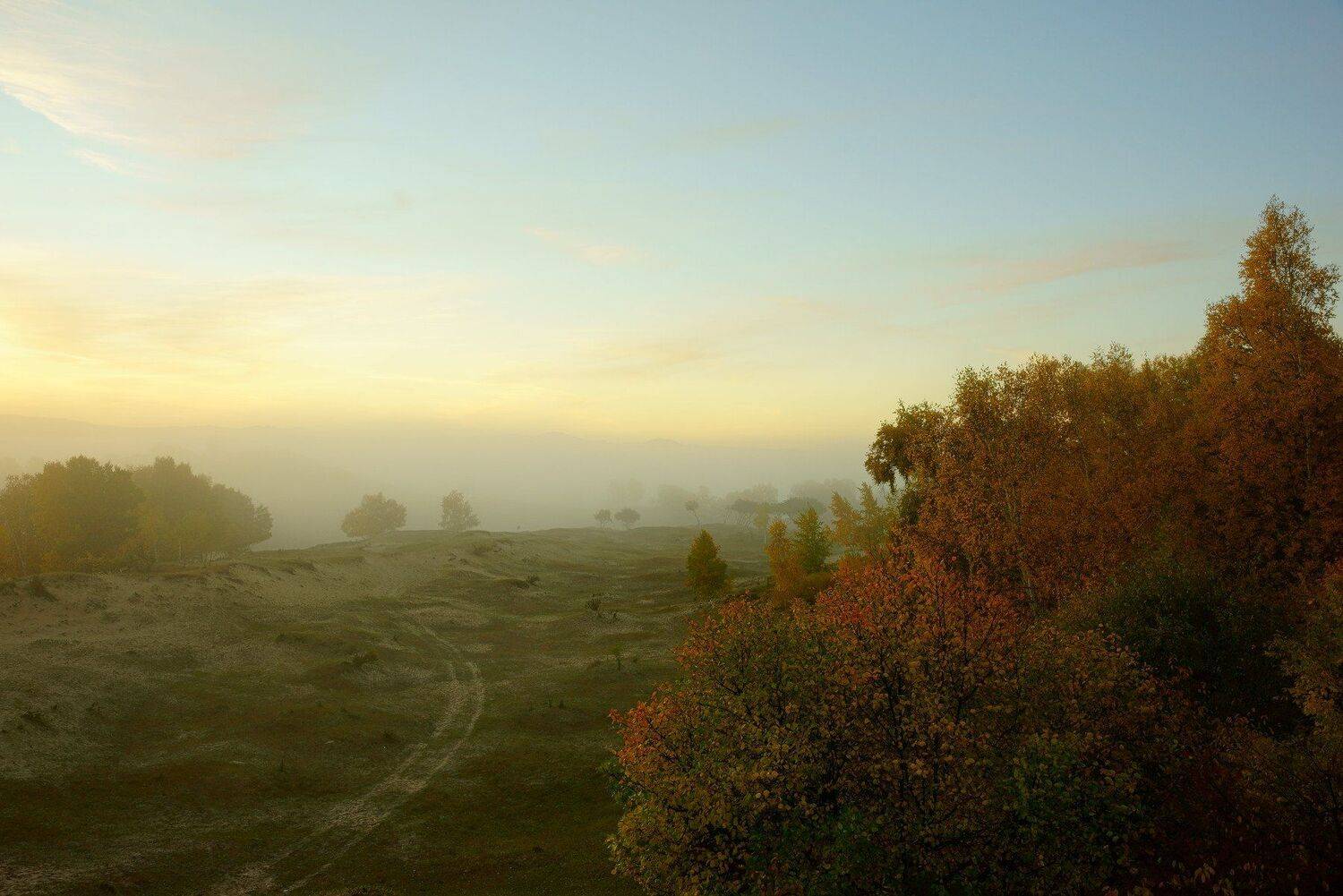 asia,china,neimenggu,basang,plateau,fog,morning,sky,mountain,light,cloud,trees,birch tree,autumn, Shin