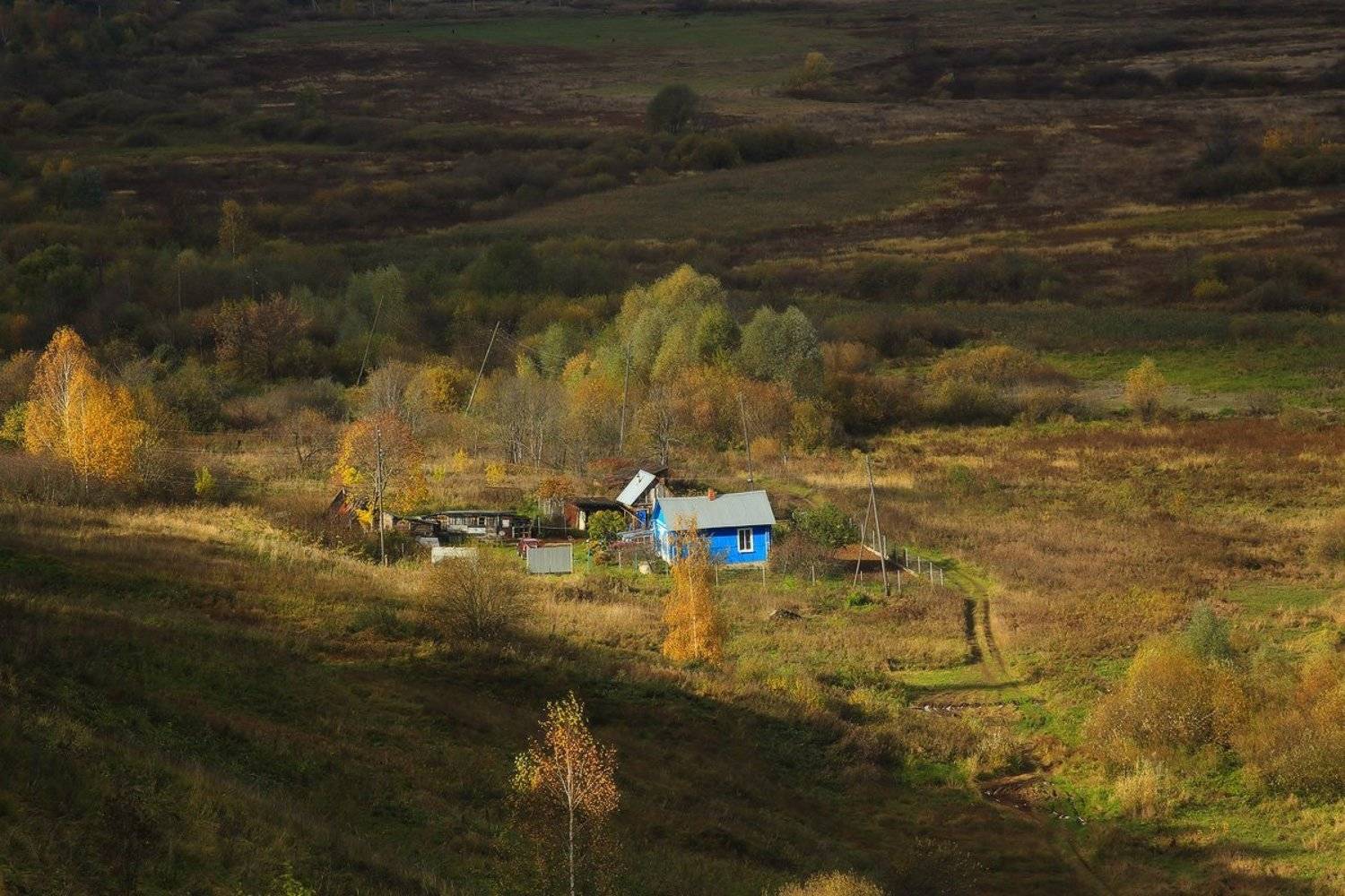 на берегах клязмы, Дмитрий Алексеев