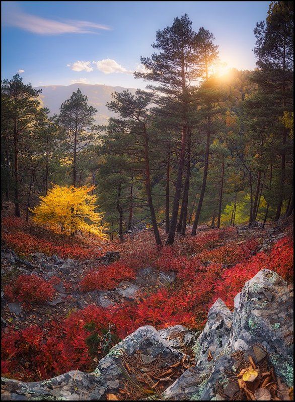 Яркие краски осеннего Архыза фото превью