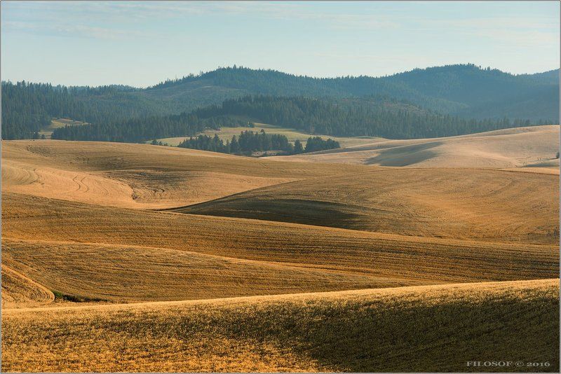 По холмам, как по волнам… фото превью