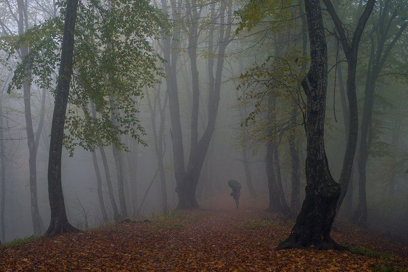 Осень в Кизиловке фото превью