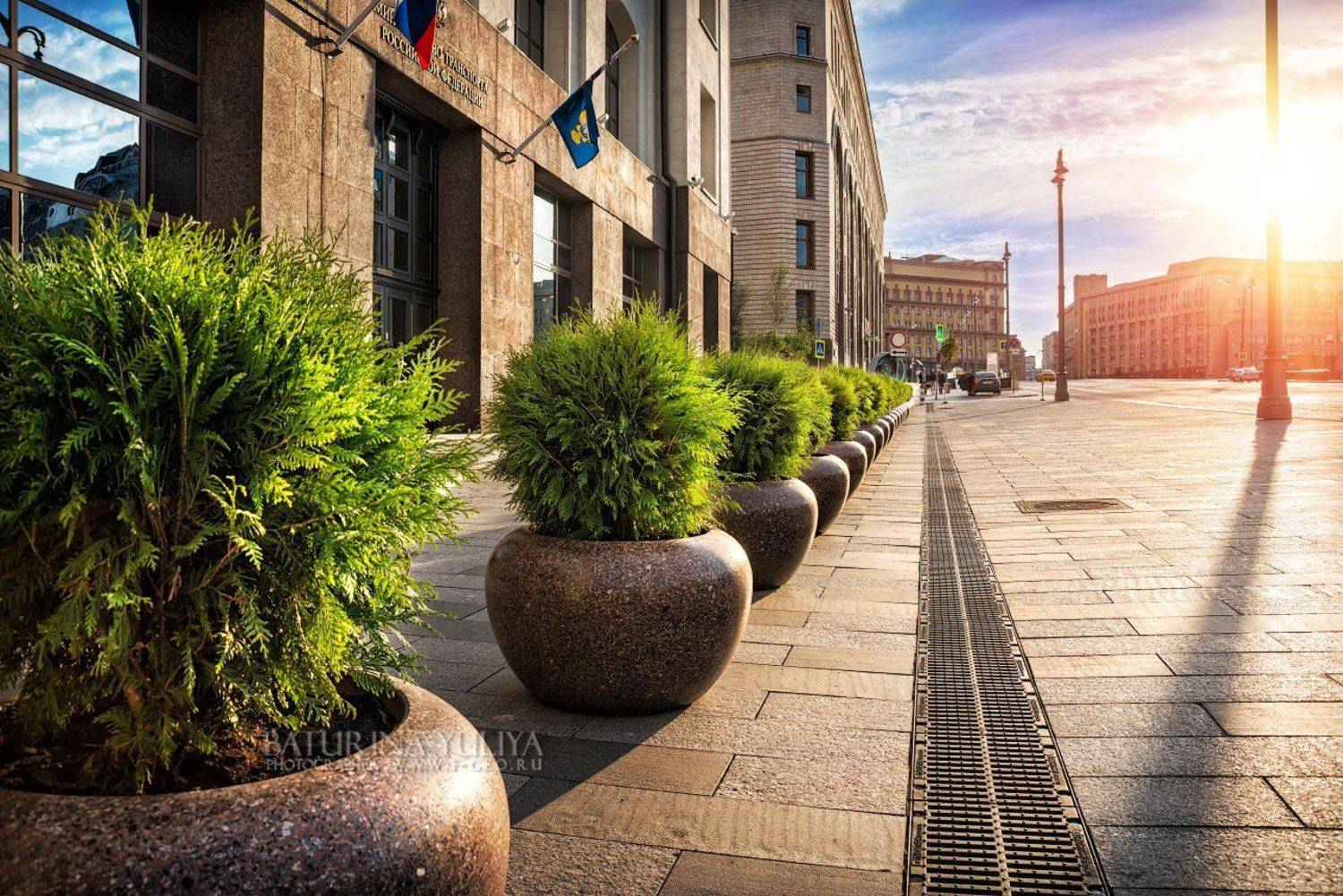 клумба, москва, город, архитектура, утро, министерство транспорта, Юлия Батурина