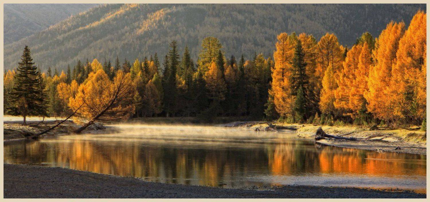 джазатор, беляши, алтай, Галина Хвостенко