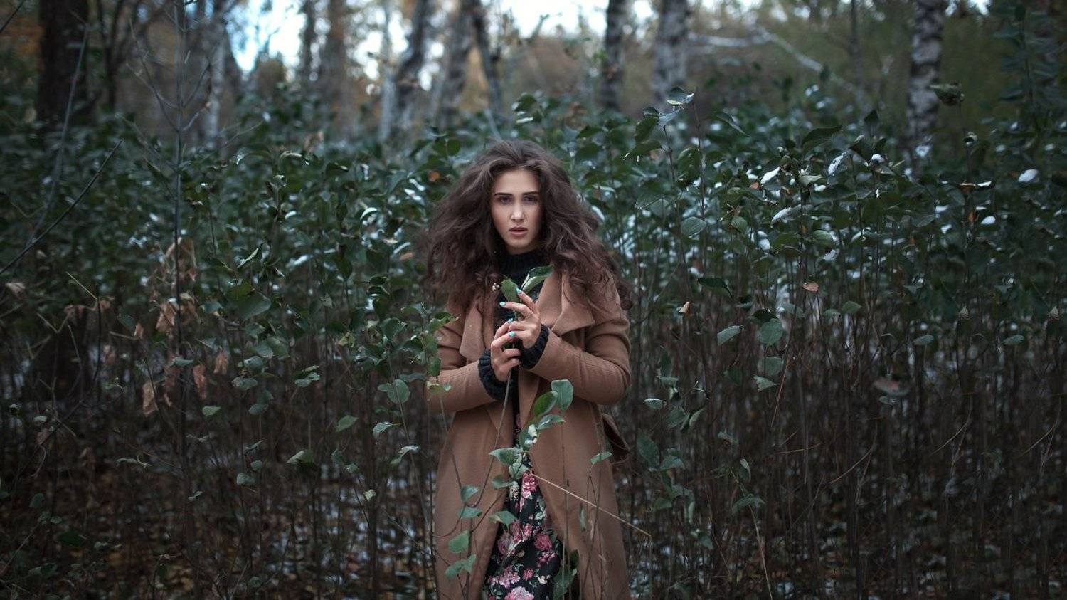 , Александр Губель