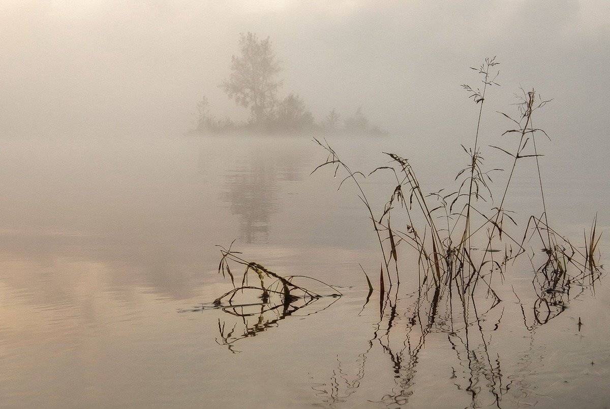 островки. туман., Марина Фомина