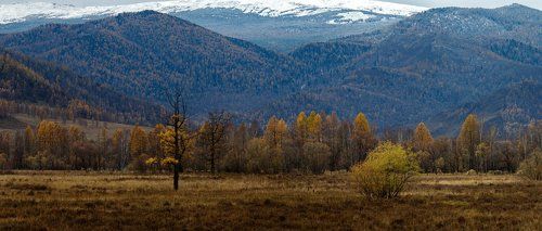 Дорогами Чуйского тракта