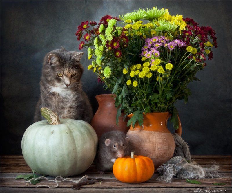 Rats\'n\'Cats, Грибы, Кошки-мышки, Крыса дамбо, Крысиные истории, Осень, Тыква, Урожай, Яблоки Крысиные истории. Осенние хлопоты фото превью