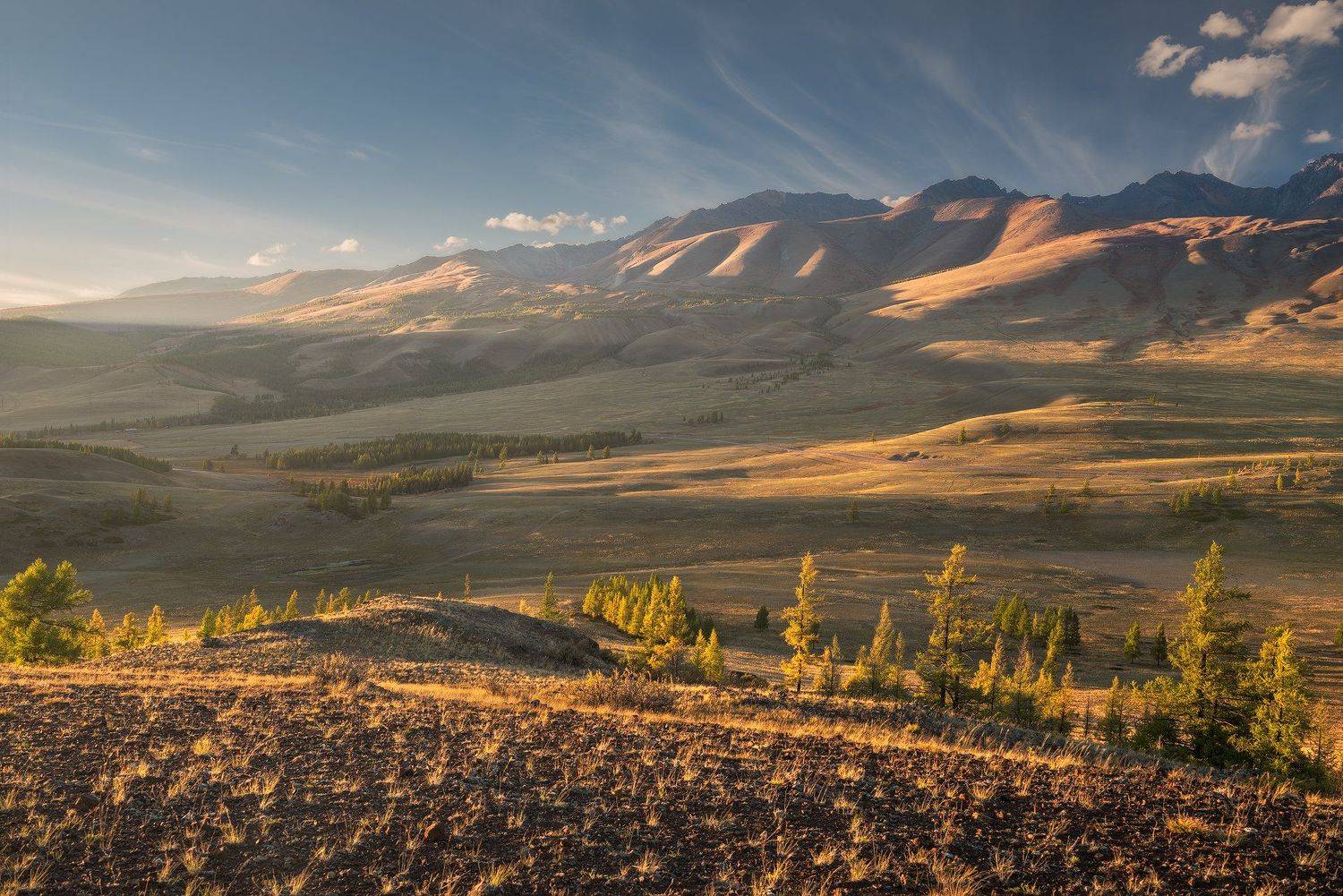 , Бахышев Сафар