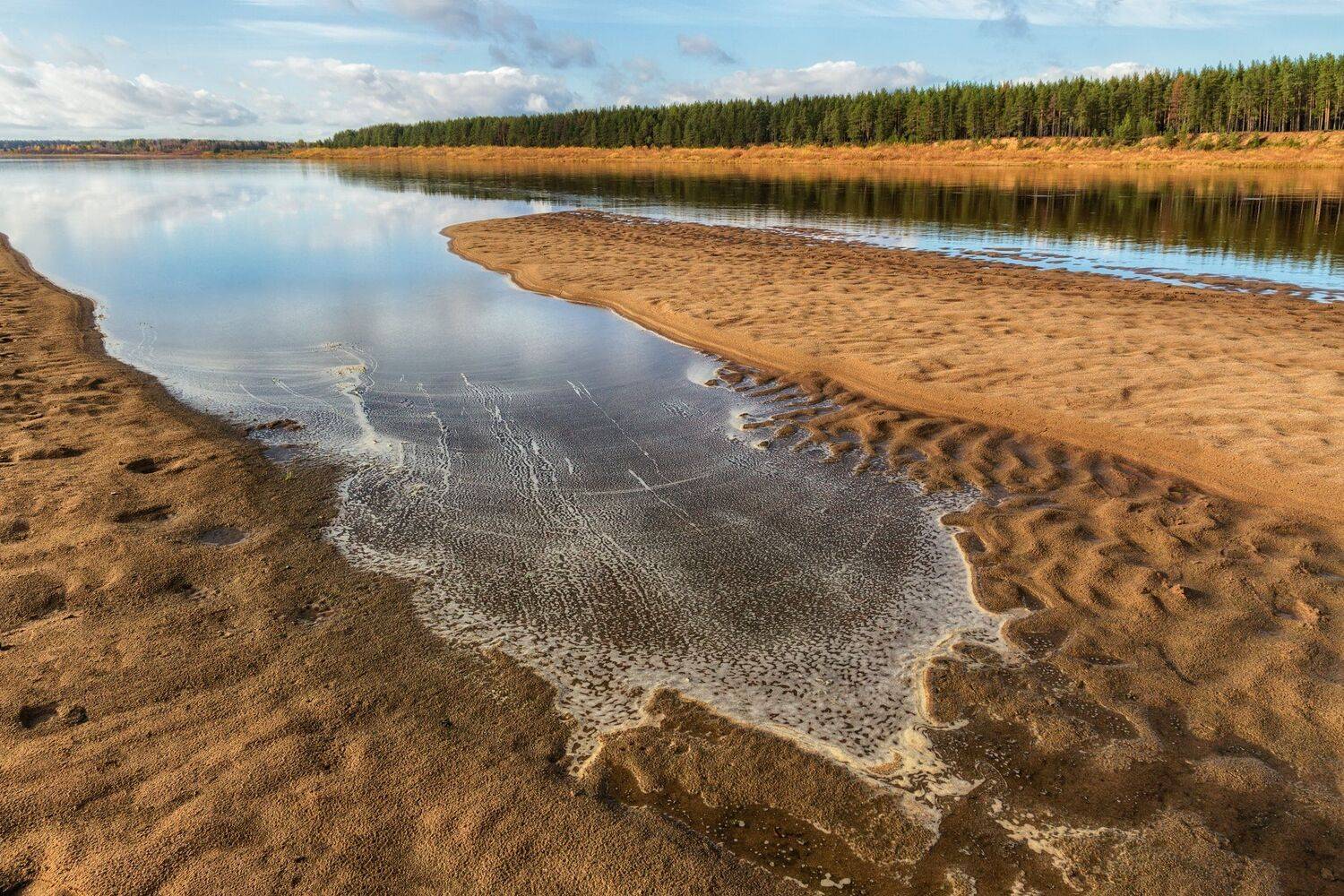 осень река пинега вода берега песок пена лес, Ра Вера